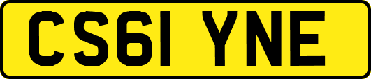 CS61YNE