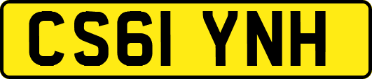 CS61YNH