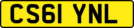 CS61YNL