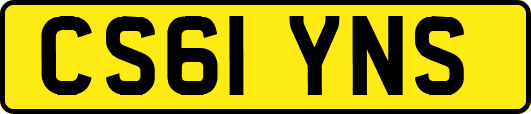 CS61YNS