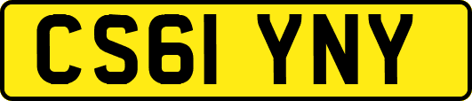 CS61YNY
