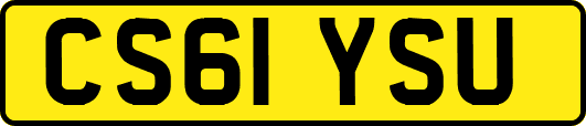 CS61YSU