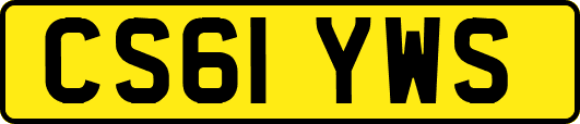 CS61YWS