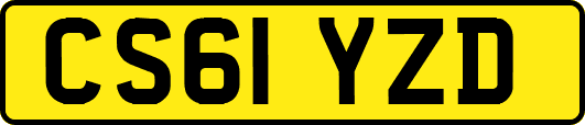 CS61YZD