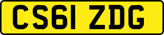 CS61ZDG