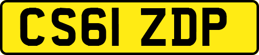 CS61ZDP