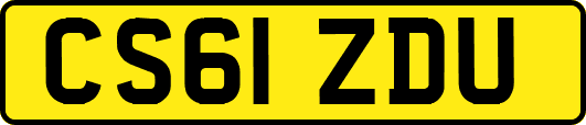 CS61ZDU