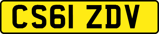 CS61ZDV