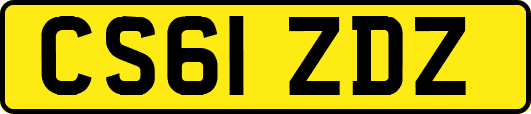 CS61ZDZ