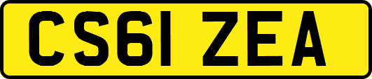 CS61ZEA