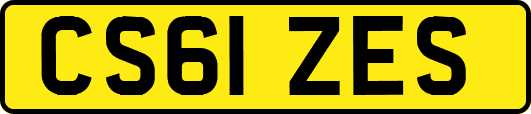 CS61ZES