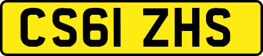 CS61ZHS