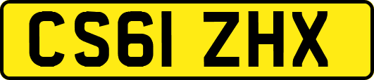 CS61ZHX
