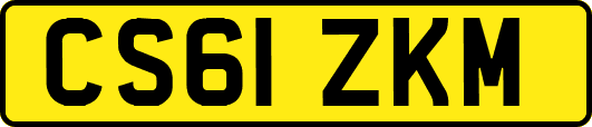 CS61ZKM