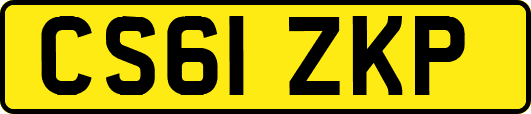 CS61ZKP