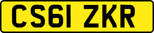 CS61ZKR