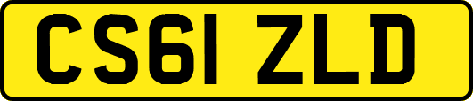 CS61ZLD