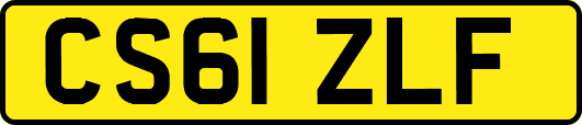 CS61ZLF