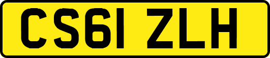 CS61ZLH