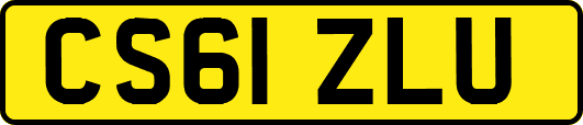 CS61ZLU