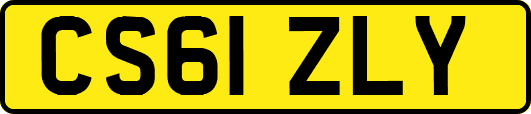 CS61ZLY