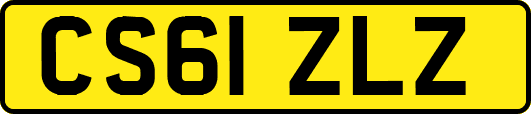 CS61ZLZ