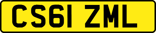 CS61ZML