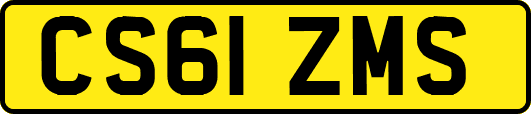 CS61ZMS