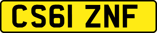 CS61ZNF