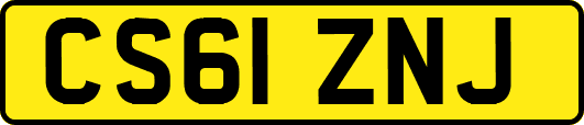 CS61ZNJ