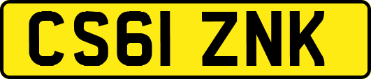 CS61ZNK