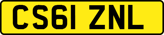 CS61ZNL