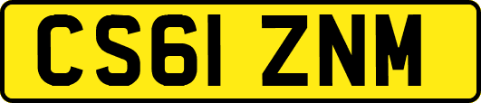 CS61ZNM