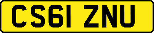 CS61ZNU
