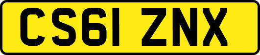 CS61ZNX