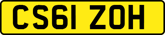 CS61ZOH