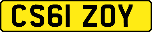CS61ZOY