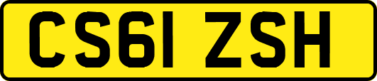 CS61ZSH