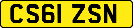 CS61ZSN