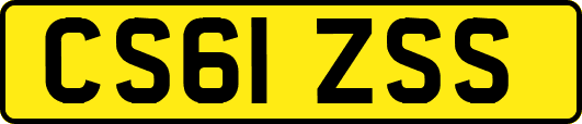 CS61ZSS