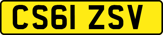 CS61ZSV