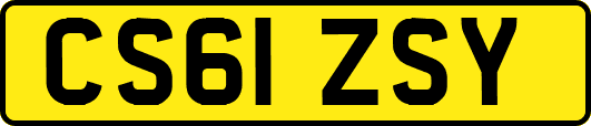 CS61ZSY