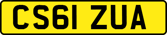 CS61ZUA