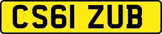 CS61ZUB