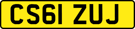 CS61ZUJ
