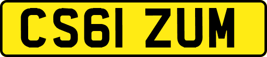 CS61ZUM