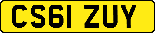 CS61ZUY