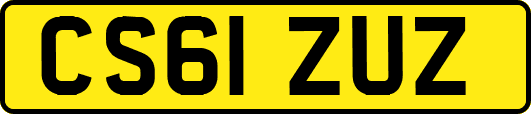 CS61ZUZ