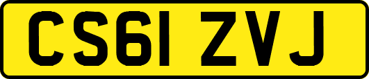 CS61ZVJ