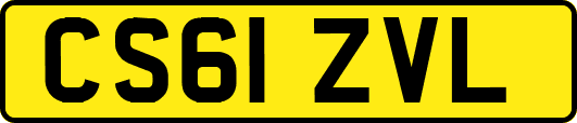 CS61ZVL
